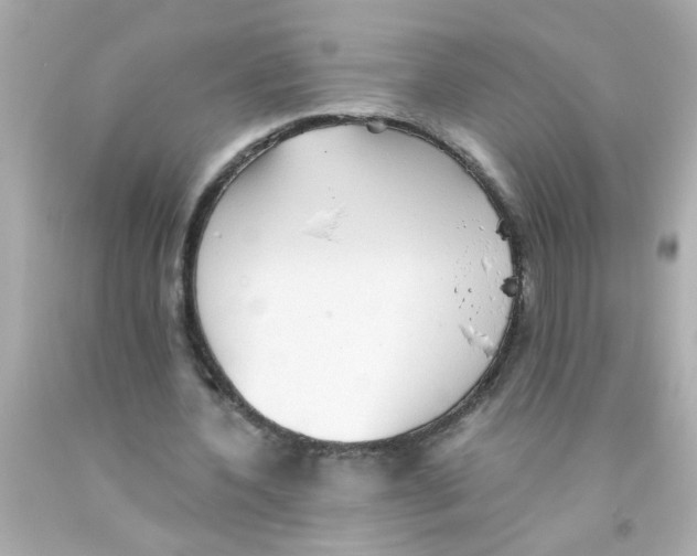 X0000093110532200710241244