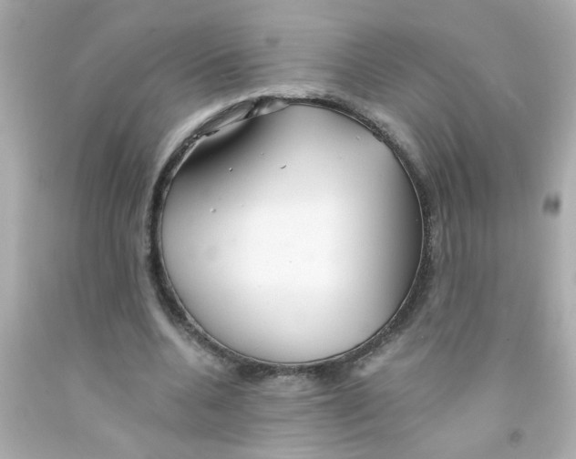 X0000093110536200710241244