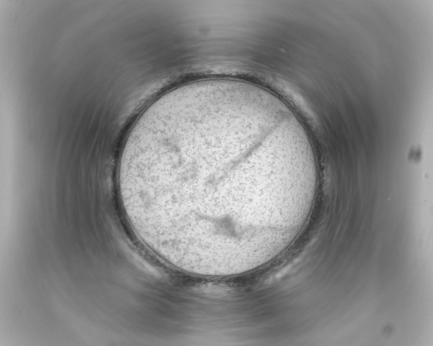 X0000093110537200710241244