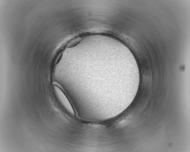 X0000093110539200710241244