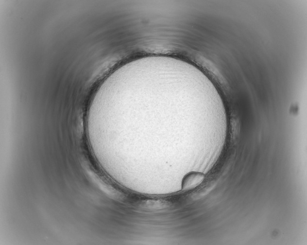 X0000093110541200710241244