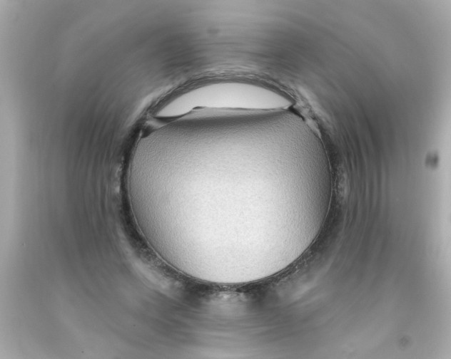 X0000093110543200710241244