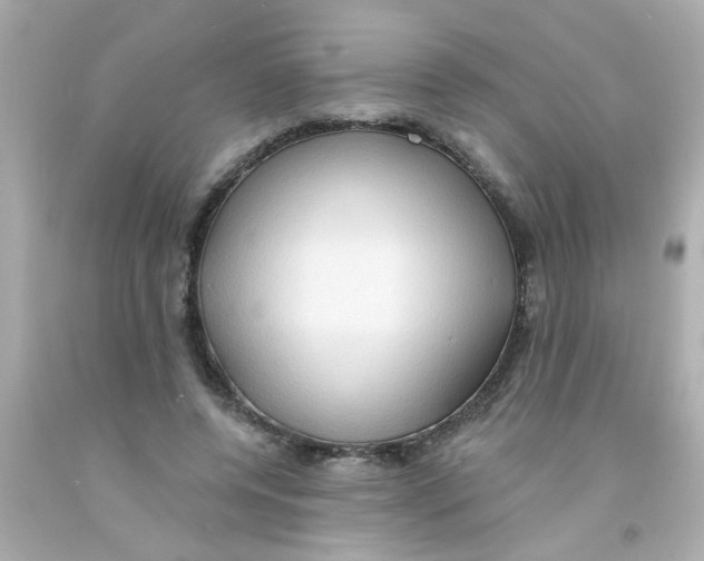 X0000093110544200710241244