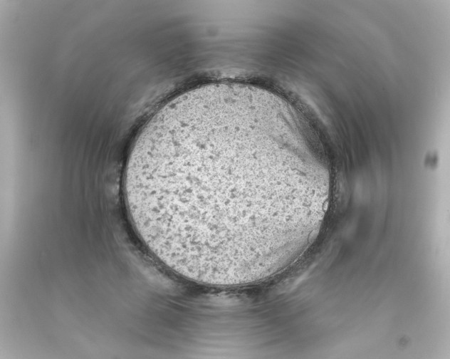 X0000093110545200710241244