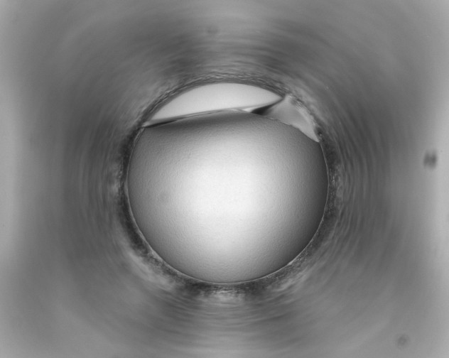 X0000093110546200710241244