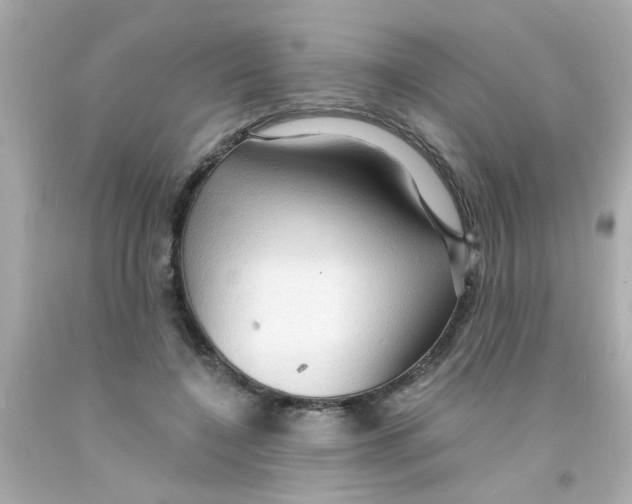 X0000093110548200710241244