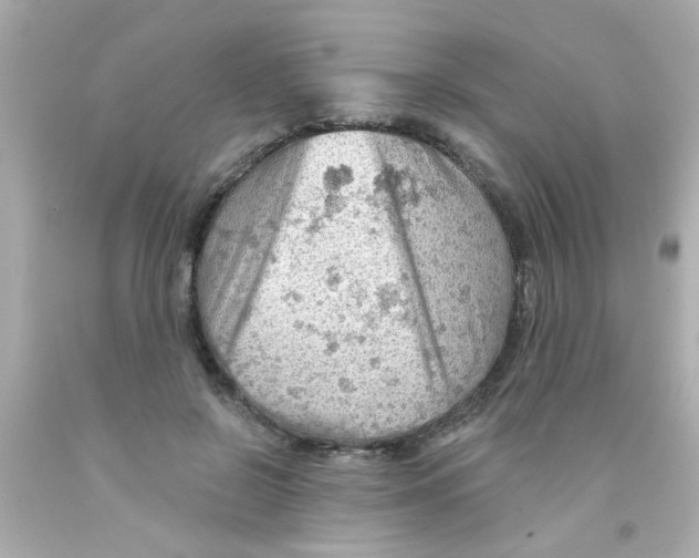 X0000093110550200710241244