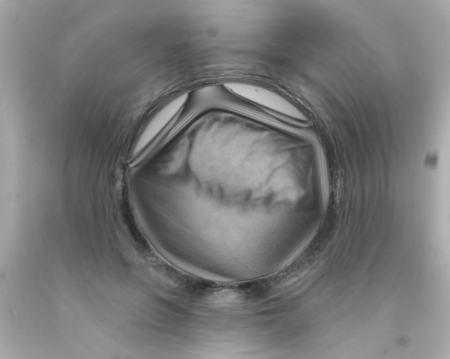 X0000093110551200710241244