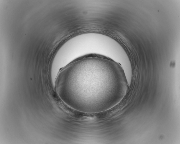 X0000093110552200710241244