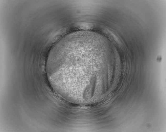 X0000093110553200710241244