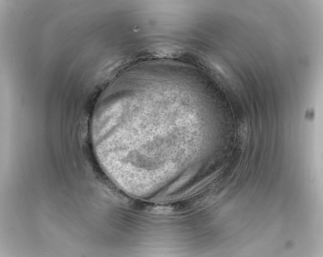 X0000093110554200710241244