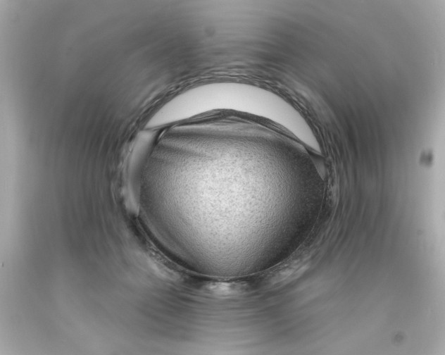 X0000093110558200710241244