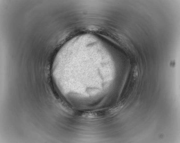 X0000093110559200710241244