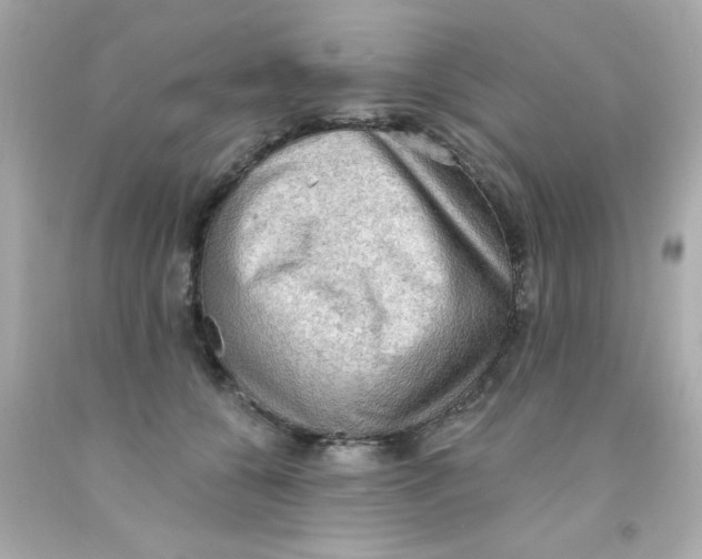 X0000093110560200710241244