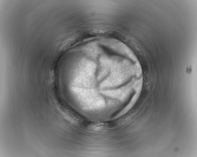 X0000093110563200710241244