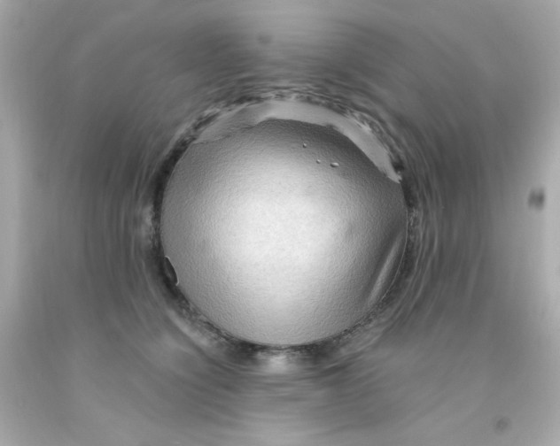 X0000093110564200710241244