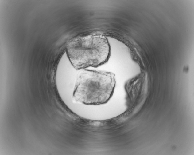 X0000093110565200710241244