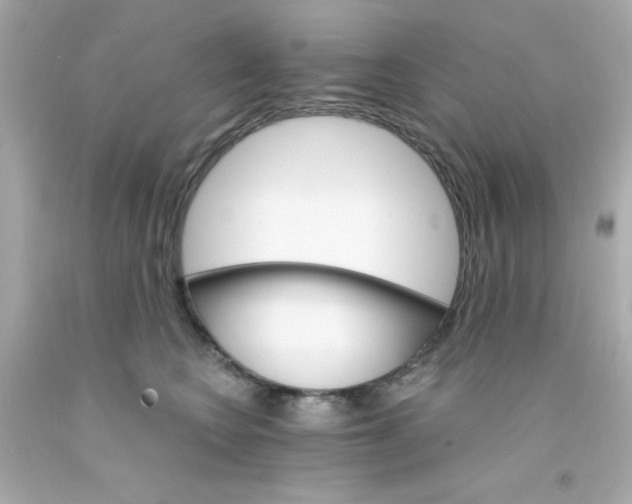 X0000093110566200710241244