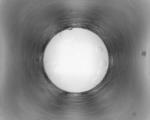 X0000093110567200710241244