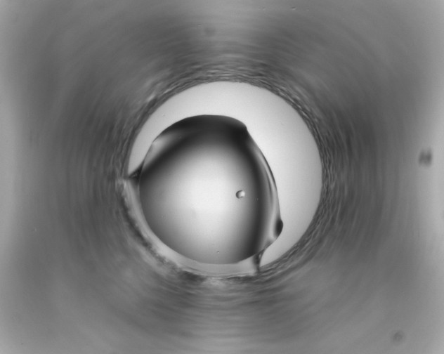 X0000093110568200710241244