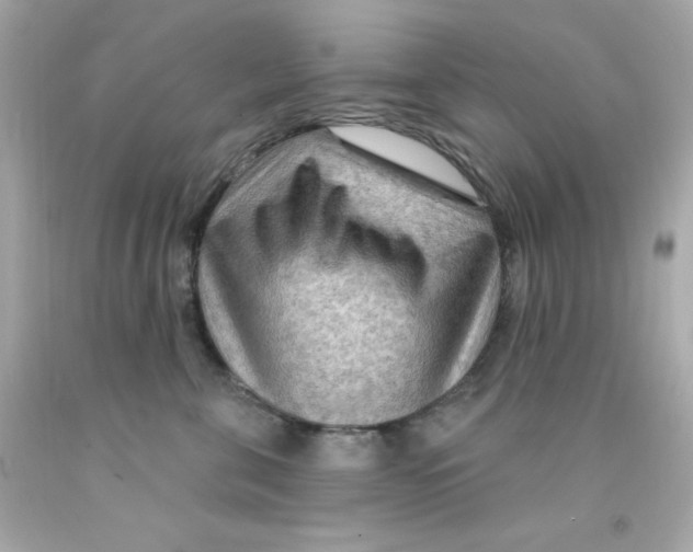 X0000093110571200710241244