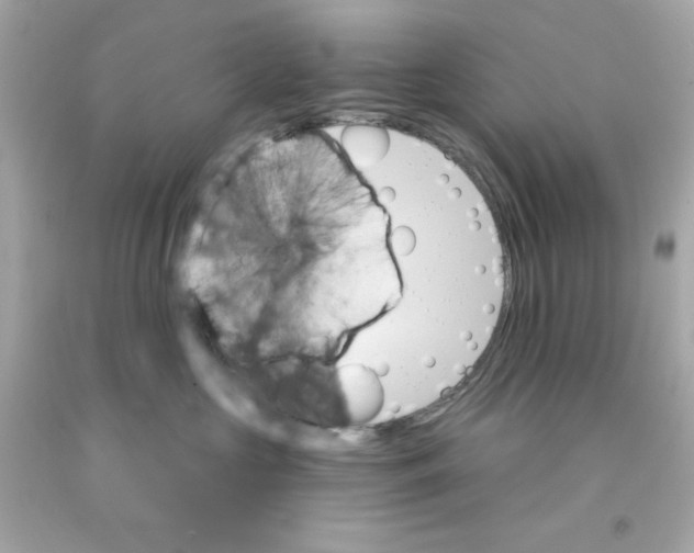 X0000093110573200710241244