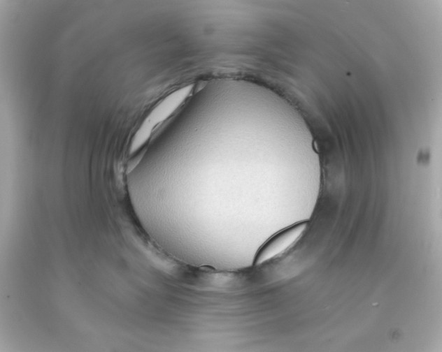 X0000093110575200710241244