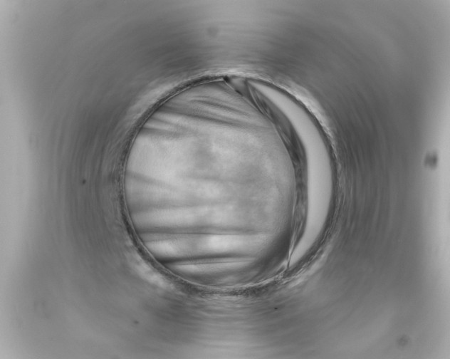 X0000093110577200710241244