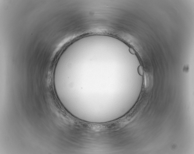 X0000093110579200710241244