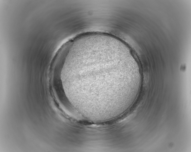 X0000093110580200710241244