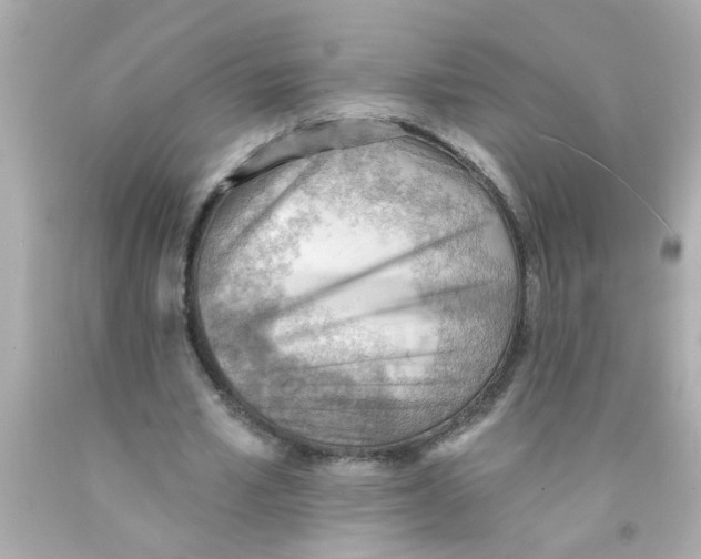 X0000093110581200710241244