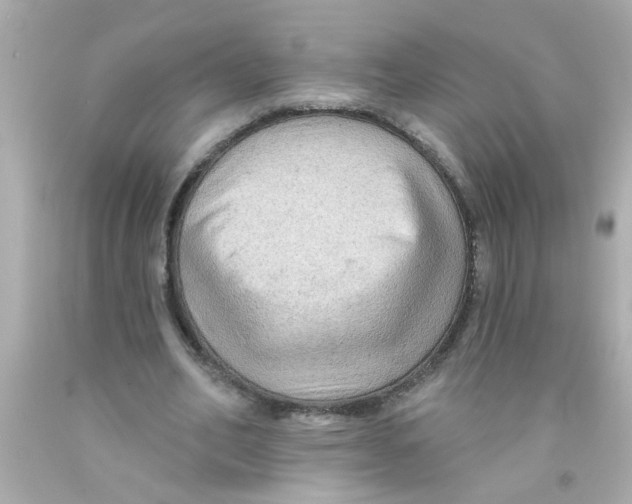 X0000093110582200710241244