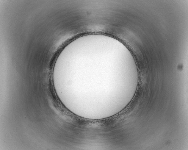 X0000093110583200710241244