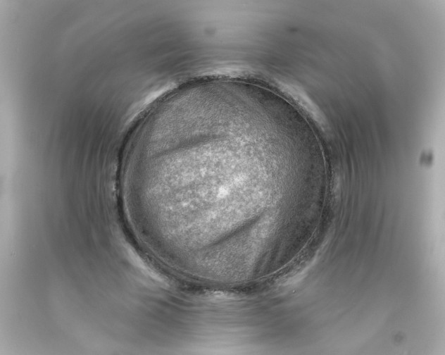 X0000093110585200710241244