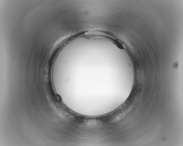 X0000093110587200710241244