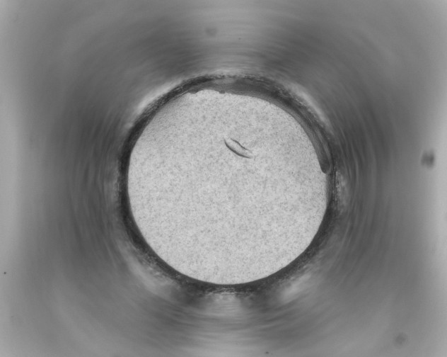 X0000093110588200710241244