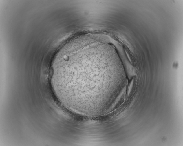 X0000093110593200710241244