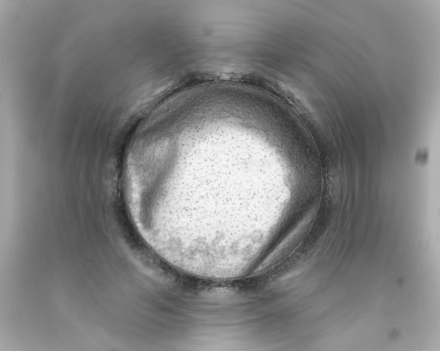 X0000093110594200710241244