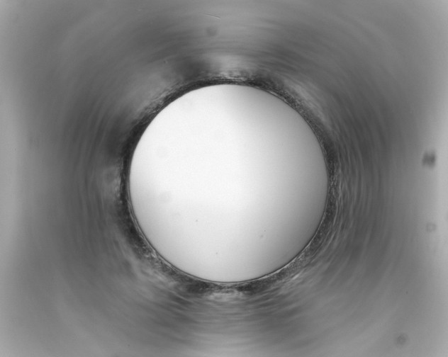 X0000093110595200710241244