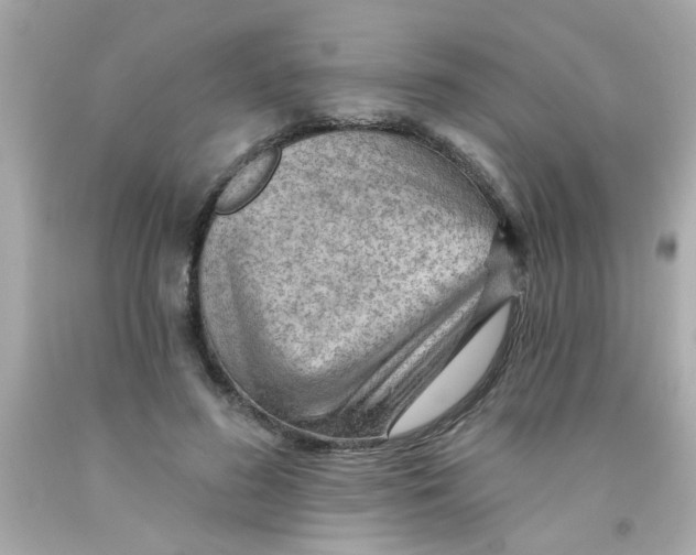 X0000093110596200710241244