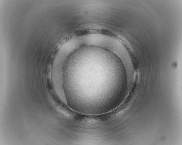 X0000093110597200710241244