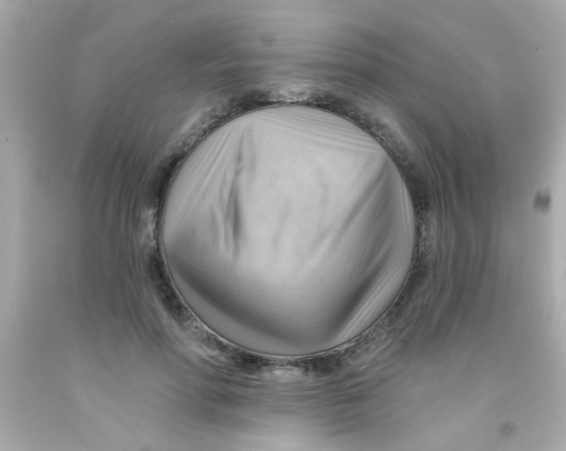 X0000093110598200710241244