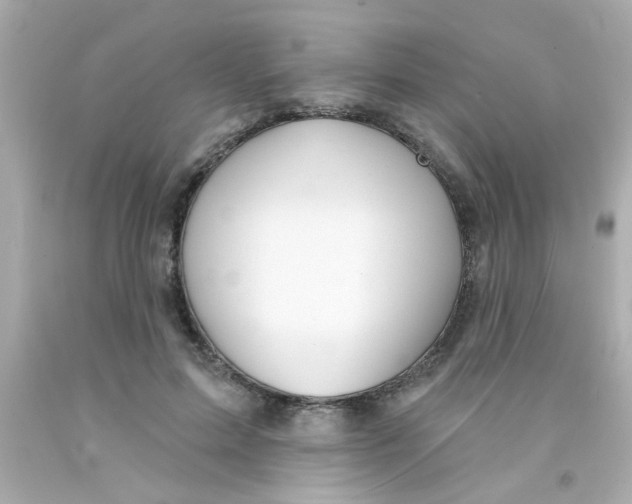 X0000093110599200710241244