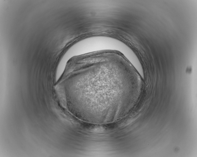 X0000093110600200710241244