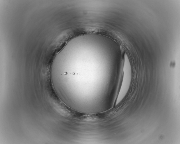 X0000093110601200710241243