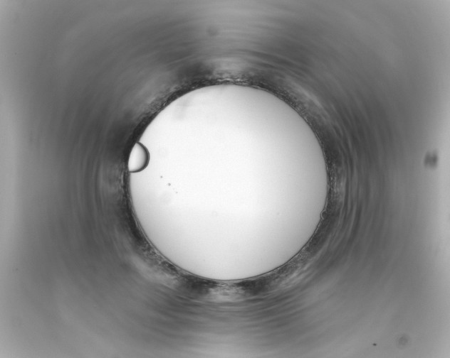 X0000093110603200710241243