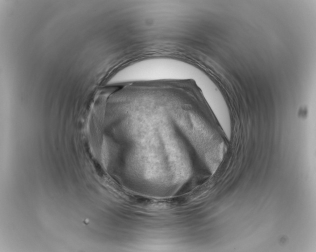 X0000093110604200710241243