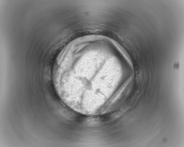 X0000093110606200710241243