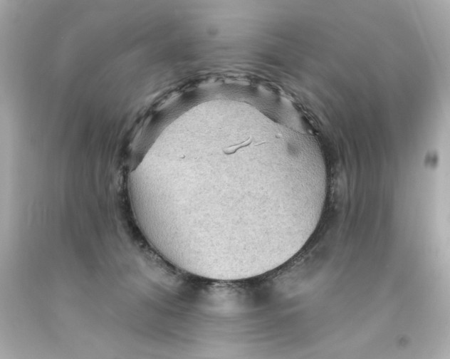 X0000093110608200710241243