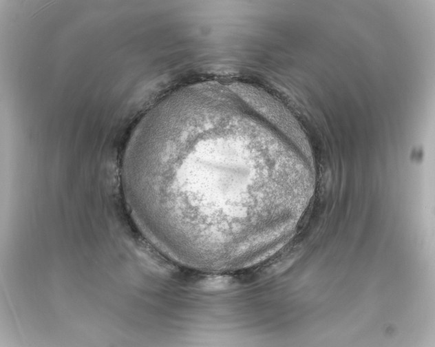 X0000093110609200710241243